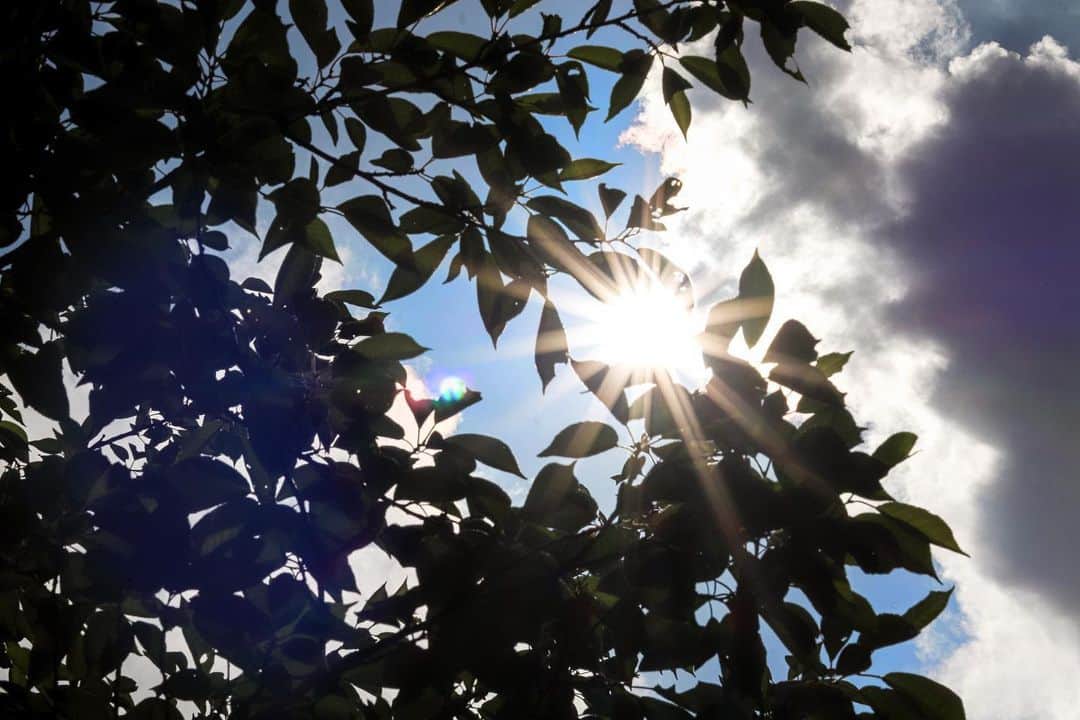 のインスタグラム：「緊急事態宣言が解除されました🌤﻿ コロナが収束した訳ではないので、﻿ これからも入念な対策をしていきましょう🙏  #staysafe #staypositive #stayhealthy ﻿」