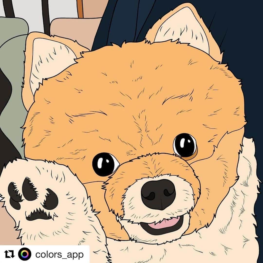 RIO POMEさんのインスタグラム写真 - (RIO POMEInstagram)「@colors_app さんにリオのイラストと塗り絵を作成していただきました✨  宝物ふえたね🥰  ありがとうございました💕  #Repost @colors_app with @get_repost ・・・ We love how @rioriopom looks so cute without even trying 💕  It's the weekend, what are your plans?  #colorsapp #coloringactivity #coloringideas #pomeraniansofinstagram #pomeranianworld #pomeranianlove #coloringforadults #arttherapy #creativelycoloring #stayhomeandcolor」5月26日 21時15分 - rioriopom