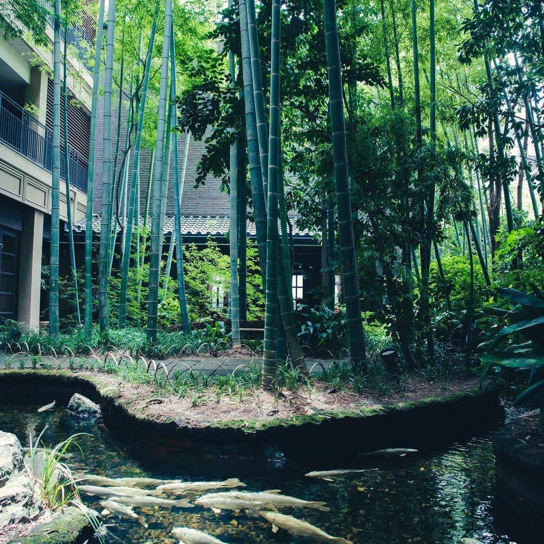 FORTUNE GARDEN KYOTOのグルメインスタ