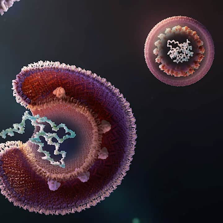 ノバルティスのインスタグラム：「Science 🔬is combatting the coronavirus 🦠in 3 ways⁠⠀ .⁠⠀ .⁠⠀ .⁠⠀ .⁠⠀ Investigating the use of existing medicines to prevent the virus from replicating or to quiet an overactive immune response to the virus in severe cases of COVID-19 disease. ⁠⠀ .⁠⠀ .⁠⠀ .⁠⠀ Developing a vaccine to teach the immune system to recognize the virus and block it.⁠⠀ .⁠⠀ .⁠⠀ .⁠⠀ Focusing on a weakness shared by all coronaviruses, to develop a pan-coronavirus antiviral that could prevent the next pandemic. Link in bio to learn more. #COVID-19 #coronavirus #science」
