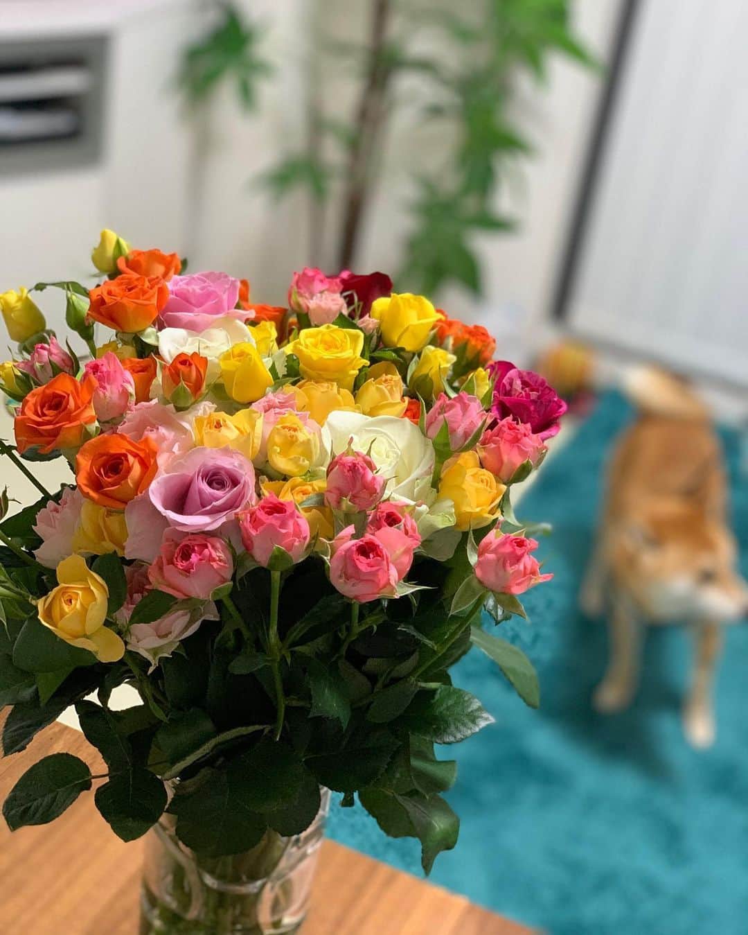 大山加奈さんのインスタグラム写真 - (大山加奈Instagram)「. . やっぱりお花があると 部屋が華やぐなー☺️🌹 . . #花のある生活　#コロナ支援  #コロナに負けるな」5月26日 21時55分 - kanaoyama0619