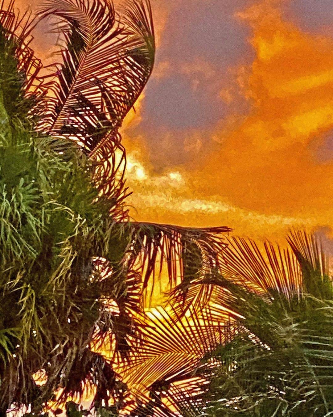 ブルース・ウェーバーさんのインスタグラム写真 - (ブルース・ウェーバーInstagram)「Welcome summer. ————— Sunrise at Golden Beach, FL.」5月26日 22時18分 - bruce_weber