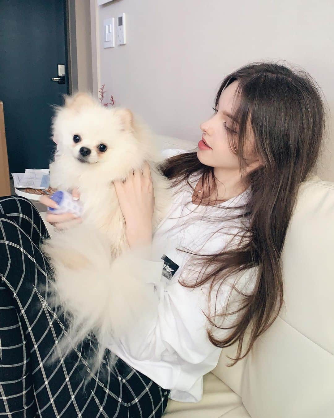 Elina 엘리나 (エリナ) さんのインスタグラム写真 - (Elina 엘리나 (エリナ) Instagram)「사샤집 강아지 고양이 너무 귀여워🥺 I like Sasha’s home 😭❤️ @sandra_ssong」5月26日 22時24分 - elina_4_22