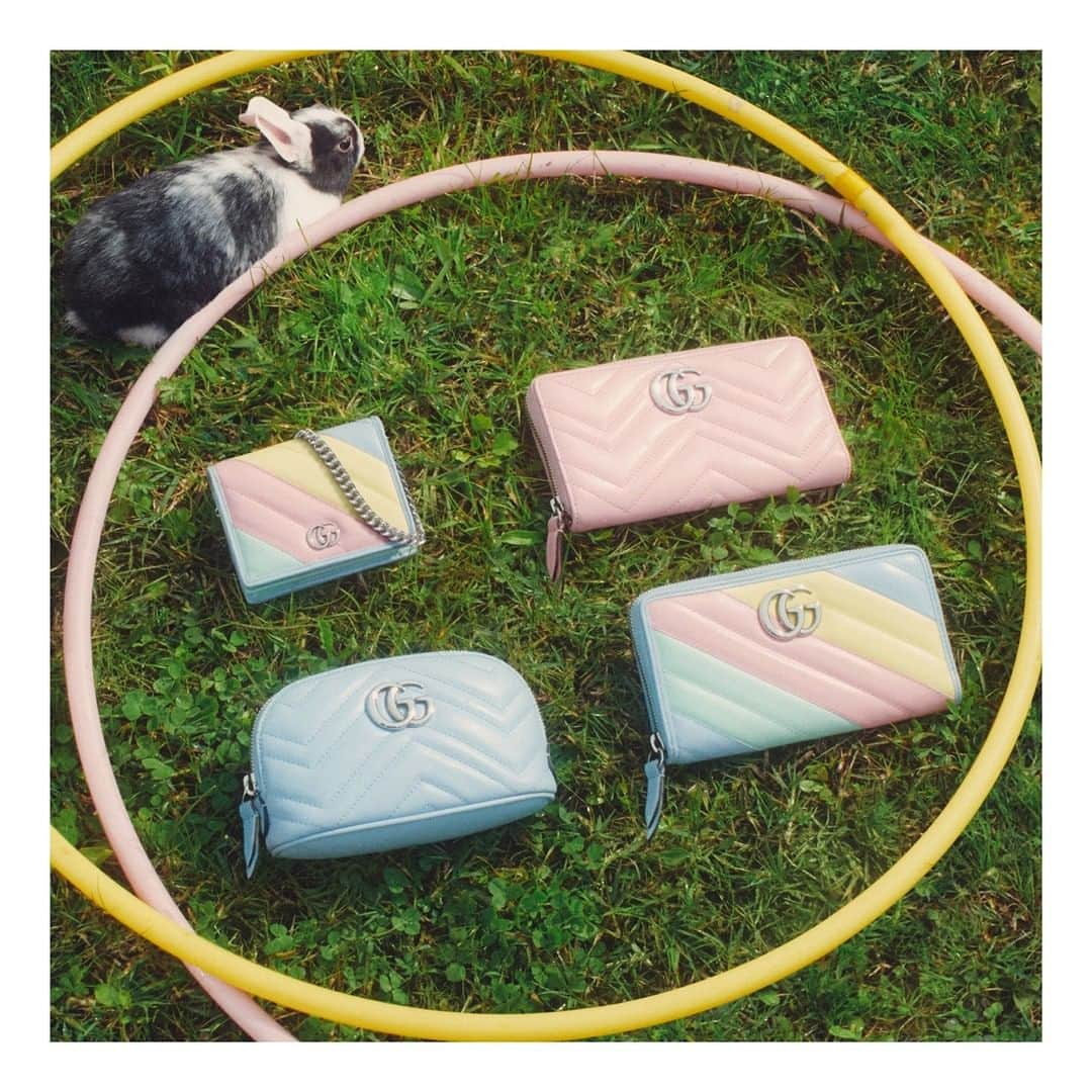 グッチさんのインスタグラム写真 - (グッチInstagram)「Lightweight fabrics and bright colors define the new #TowardsTheSun #GucciPreFall20 collection including #GGMarmont wallets and card cases in pastel leather. Discover more through link in bio. @alessandro_michele #AlessandroMichele」5月27日 1時00分 - gucci