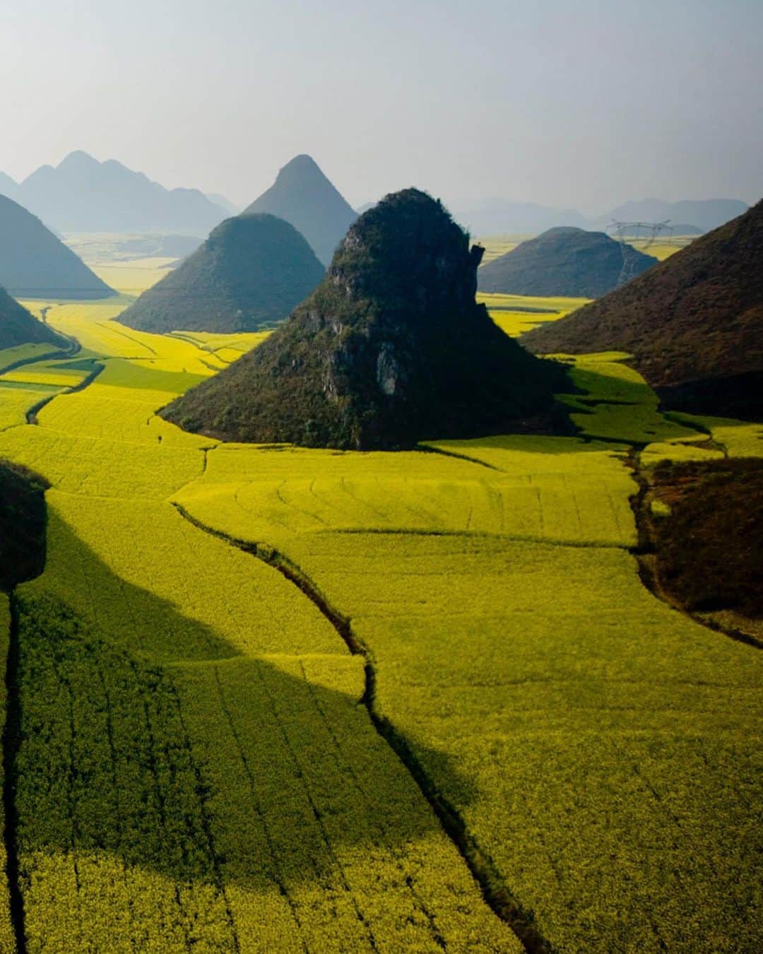 National Geographic Travelさんのインスタグラム写真 - (National Geographic TravelInstagram)「Photo by George Steinmetz @geosteinmetz | Conical limestone hills rise amid fields of flowering rape plants in Yunnan, China. Rapeseed is China’s largest oilseed crop and is commonly used for stir-fry cooking. The plants blossom in early spring, when the area draws busloads of tourists and traveling beekeepers. To view more of our world from above, follow @geosteinmetz.」5月27日 1時12分 - natgeotravel