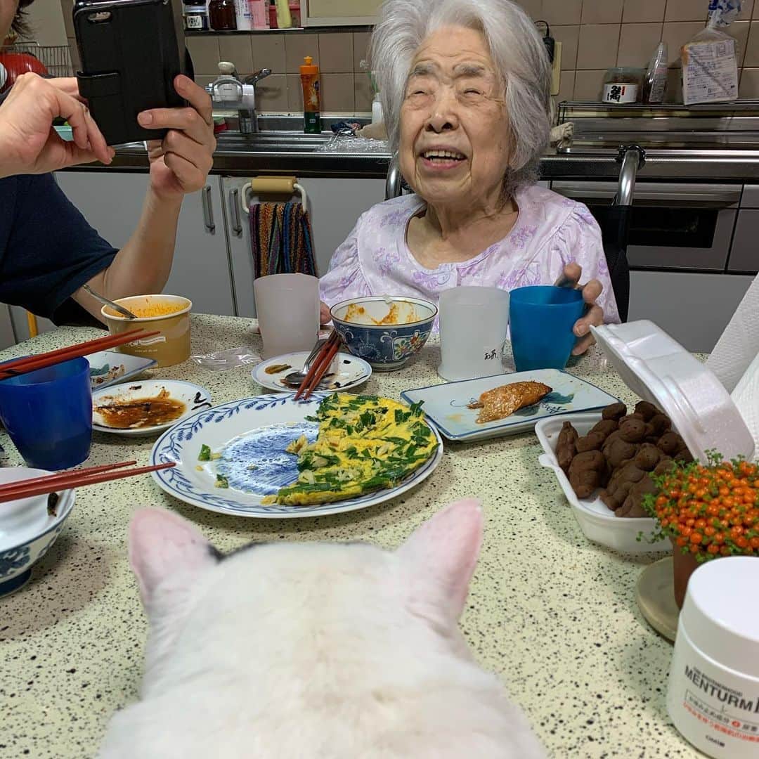 Kachimo Yoshimatsuさんのインスタグラム写真 - (Kachimo YoshimatsuInstagram)「バーバとナナクロ 夕ごはん。 #うちの猫ら #nanakuro #バーバ #バーバと猫 #猫 #ねこ #cat #ネコ #catstagram #ネコ部 http://kachimo.exblog.jp」5月27日 2時02分 - kachimo