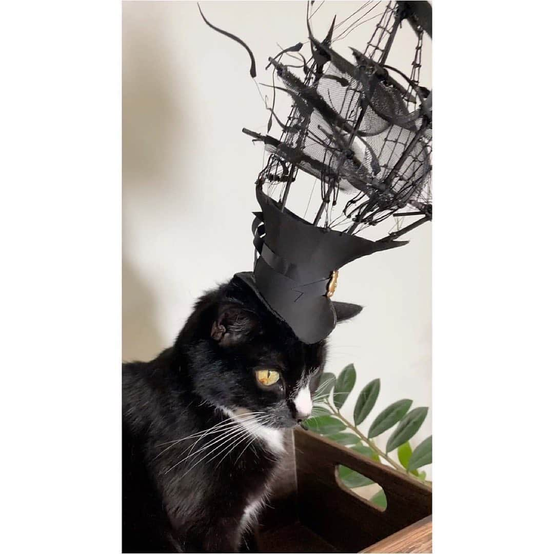 フィリップトレーシーさんのインスタグラム写真 - (フィリップトレーシーInstagram)「#repost @nothankyounothanks Happy Birthday @philiptreacy ! You asked for your Galleon ship hat, so here it is - my little birthday present to you from the other side of the world. I hope Charlie and I did it justice, we know this one is important. I’m stopping myself from getting too sappy here so I’ll just say thank you for everything and happy, happy birthday! 🎉🎂🎈🥂🍾」5月27日 3時03分 - philiptreacy