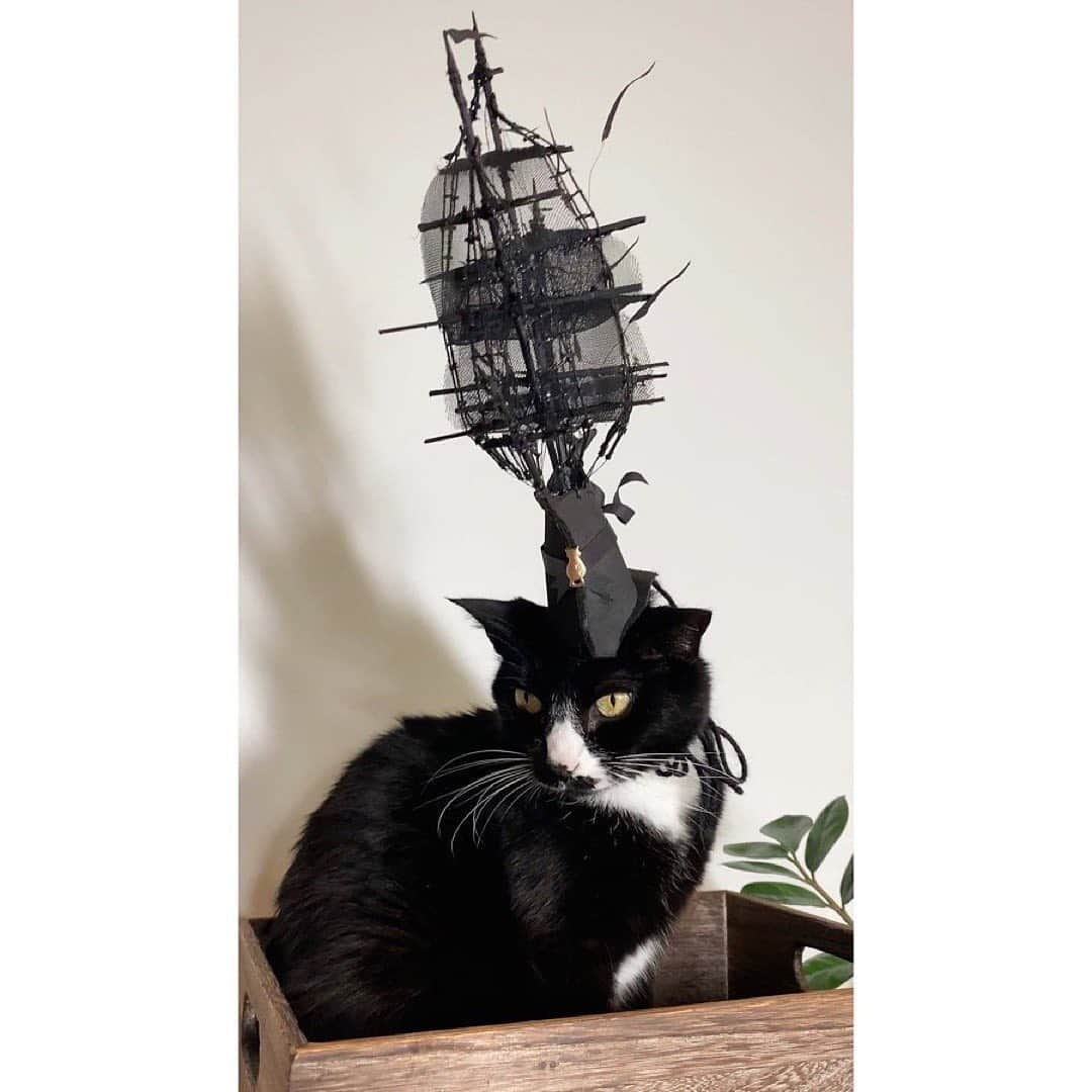 フィリップトレーシーさんのインスタグラム写真 - (フィリップトレーシーInstagram)「#repost @nothankyounothanks Happy Birthday @philiptreacy ! You asked for your Galleon ship hat, so here it is - my little birthday present to you from the other side of the world. I hope Charlie and I did it justice, we know this one is important. I’m stopping myself from getting too sappy here so I’ll just say thank you for everything and happy, happy birthday! 🎉🎂🎈🥂🍾」5月27日 3時03分 - philiptreacy