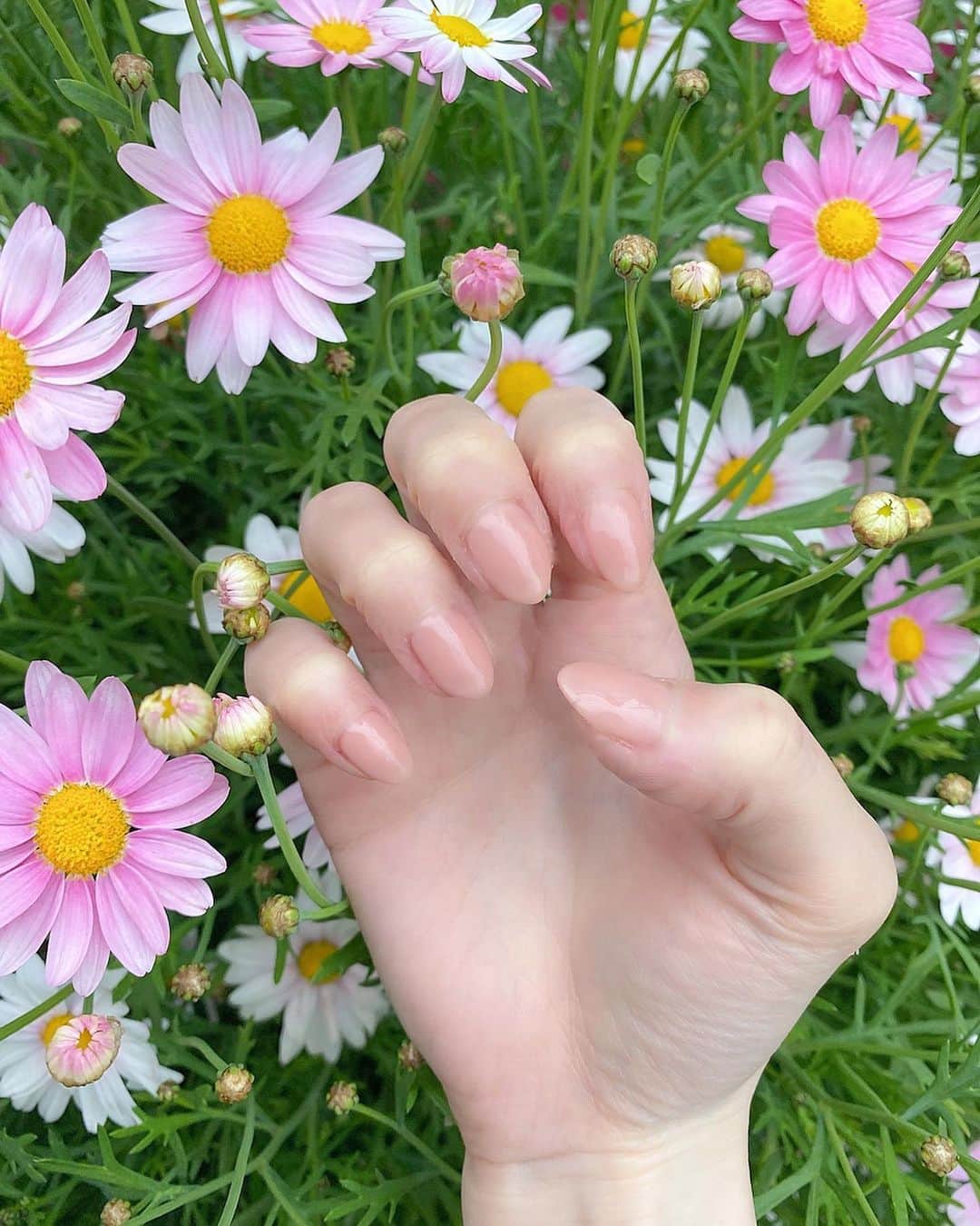 新部宏美さんのインスタグラム写真 - (新部宏美Instagram)「🌷🌷🌷 * #ぴろネイル#癒し#癒しのわんこ#🌼#ペキプー#🥺」5月27日 3時46分 - piromin_1202