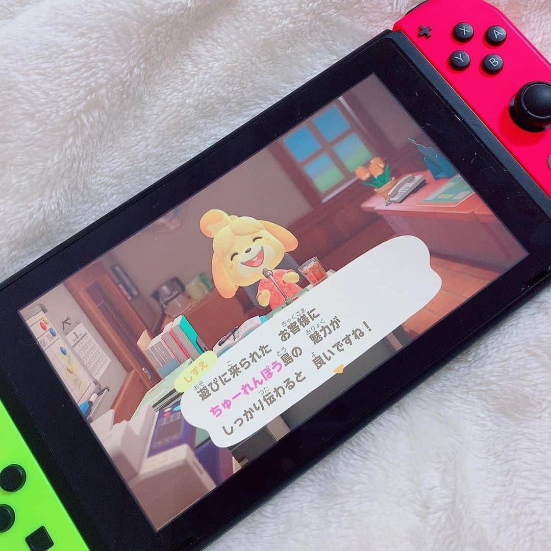 篠原冴美のインスタグラム：「ちゅうれんぽう島  #あつ森  #switch  #あつまれどうぶつの森  #カブ価500ベル台超え  #あつまれどうぶつの森好きな人と繋がりたい #ゲーム女子」