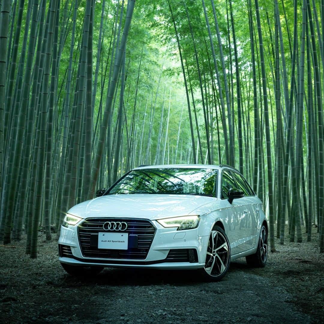 Audi Japan Sales / アウディジャパン販売さんのインスタグラム写真 - (Audi Japan Sales / アウディジャパン販売Instagram)「美と静寂を楽しむ竹林。大切な車とともに、リラックスしたひとときを。  現在 #AJS では、多様なラインナップで低金利キャンペーンを実施中。この機会にぜひご利用ください。 @audi.japan.sales  #keepdistance #staytogether #Audi #AudiA3 #A3 #sportback #myaudi #audistyle #car #アウディ #ドライブ #竹 #竹林 #和風 #車 #愛車 #外車 #ドイツ車 #車好き #車好きな人と繋がりたい #アウディ女子 #車好き男子」5月27日 18時00分 - audi.japan.sales