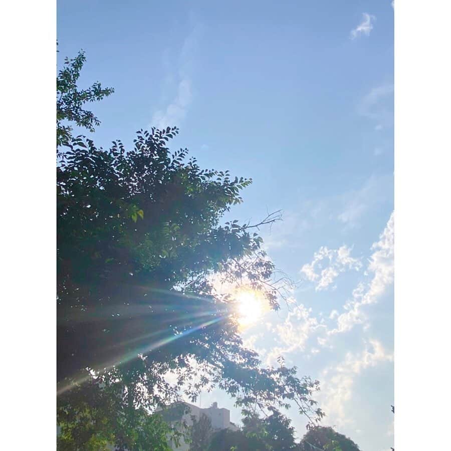 Beverlyさんのインスタグラム写真 - (BeverlyInstagram)「. Nature’s beauty 💚💚 #Nature #trees #green #naturephotography」5月27日 18時00分 - beverly_official_