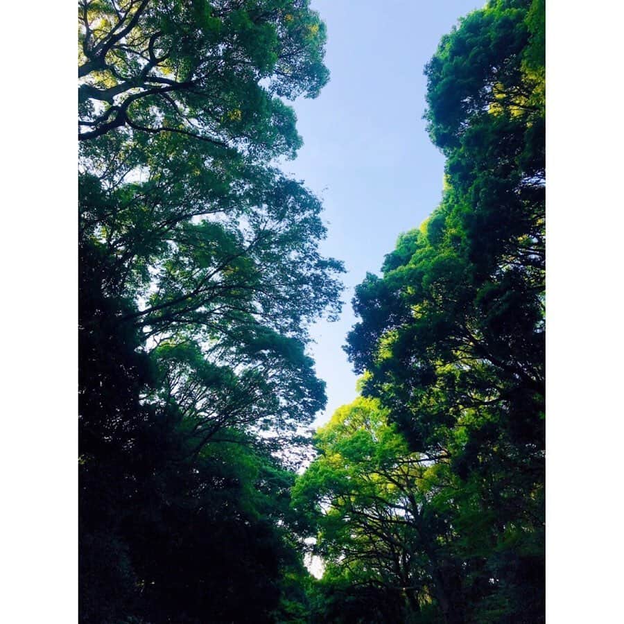 Beverlyさんのインスタグラム写真 - (BeverlyInstagram)「. Nature’s beauty 💚💚 #Nature #trees #green #naturephotography」5月27日 18時00分 - beverly_official_