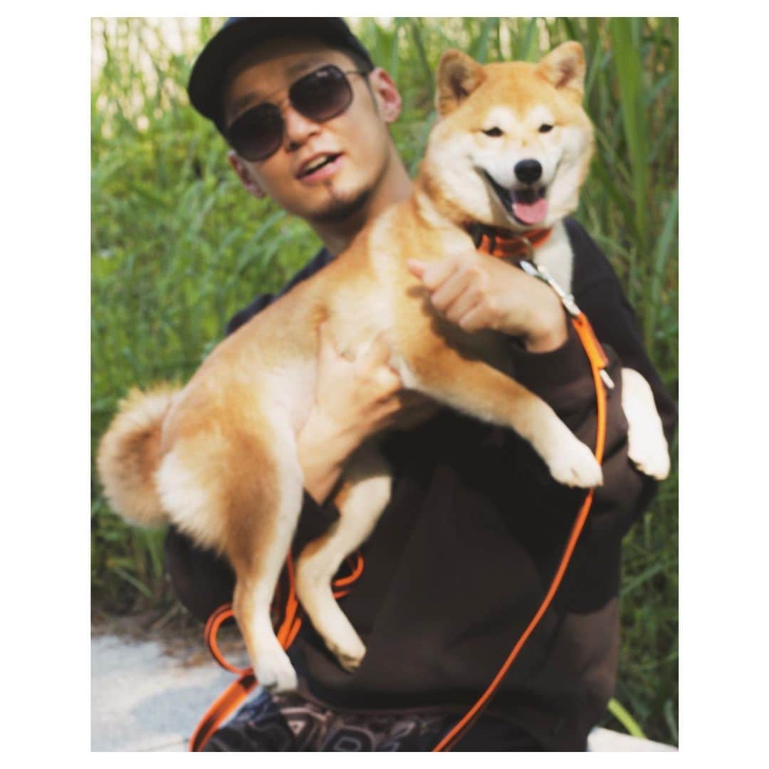 thequiettのインスタグラム：「😎🐶」