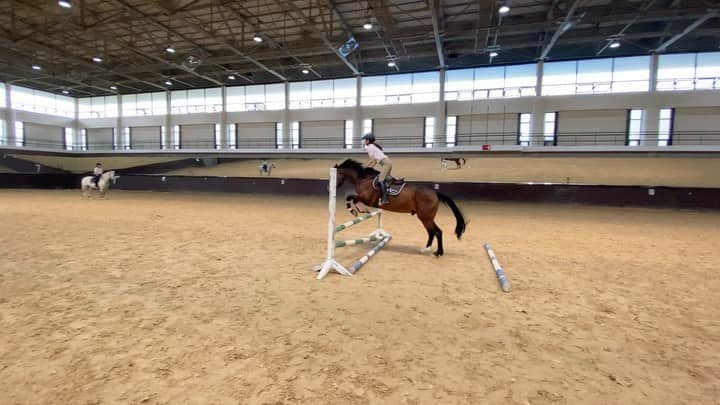 ガユンのインスタグラム：「🐎/🌱🐥 - #js스파르타교실  #nottoday」