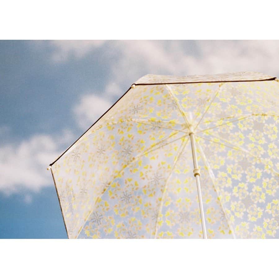 planticaさんのインスタグラム写真 - (planticaInstagram)「連投シリーズ、写真家の葵さんによる Wpc. x plantica コラボの傘のルック、三つ目。﻿ ﻿ 黄色の花びらが舞う透明の傘、晴れない日でも気分だけは晴れそう〜。﻿ ﻿ 空と傘のコントラストが、とてもきれい。日常にも素敵な一瞬一瞬って存在するなーと、ルックを見てしみじみ。﻿ ﻿ 撮影はフィルムとデジタルの両方、連日で投稿してゆきます。﻿ ﻿ ---﻿ 手に、花を。街に、華を。﻿ ﻿ 📷: @aoii6327 ﻿ ☂️: @wpc_official﻿ 🏵: @plantica_jp﻿ ﻿ 🔍: wpc  plantica ﻿ 🎁: ZOZOTOWN / Amazon / 楽天﻿ 🏫: LOFT(ロフト) / MARUI(丸井)﻿ ﻿ ☔️雨の日、華の日。﻿ Rainy Day, Floral Day.🌺﻿ ﻿ ---﻿ 葵／Aoi 📸 @aoii6327﻿ ﻿ 2001年に生まれ、高校1年の冬からフィルムカメラで学校生活を撮り始め、TwitterやInstagramでその写真を発信するようになる。プールで撮影された青の写真がTwitterで話題になり、2019年の夏にグループ展“YONE‘S ART PARTY”に参加し、その後も三ツ矢サイダー、OMOHARAREAL、PLANTICAとのコラボレーションなどが続き、これからが期待される21世紀生まれの写真家。﻿ ﻿ ---﻿ #wpc #worldparty #plantica #プランティカ  #umbrella #傘」5月27日 18時23分 - plantica_jp