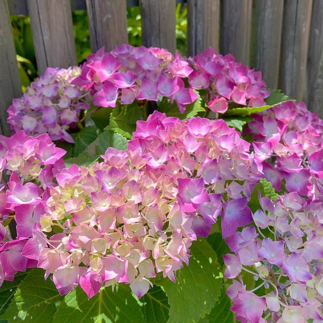 祥吉のグルメインスタ