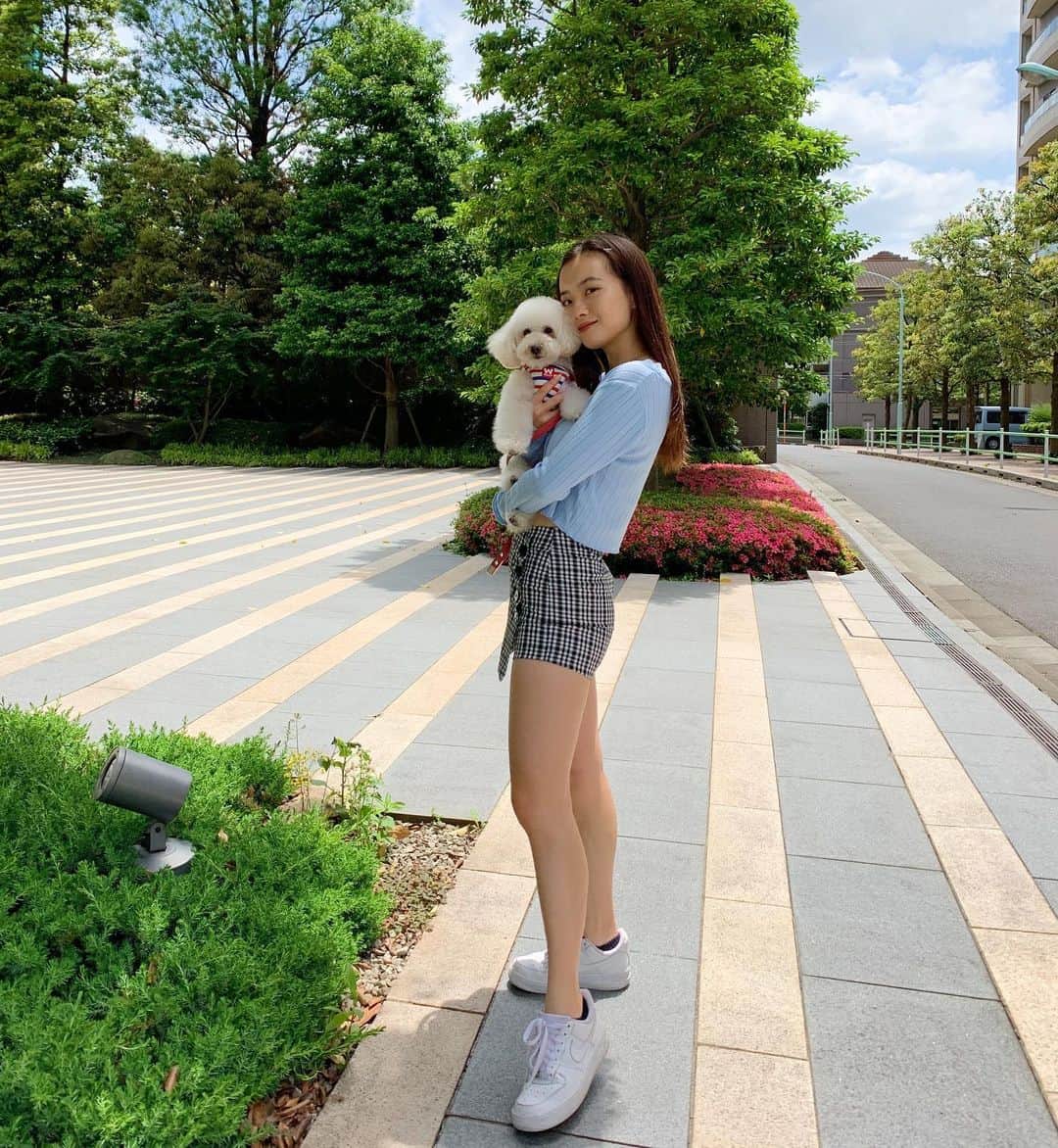 青山舞莉のインスタグラム：「今週の予定: 毎日筋トレ1時間 毎日有酸素運動1時間 2日に1回お外でランニング 毎日お水2L+ 寝る前ストレッチ 18:00前に食べ終わる。  #ミーの毎日」