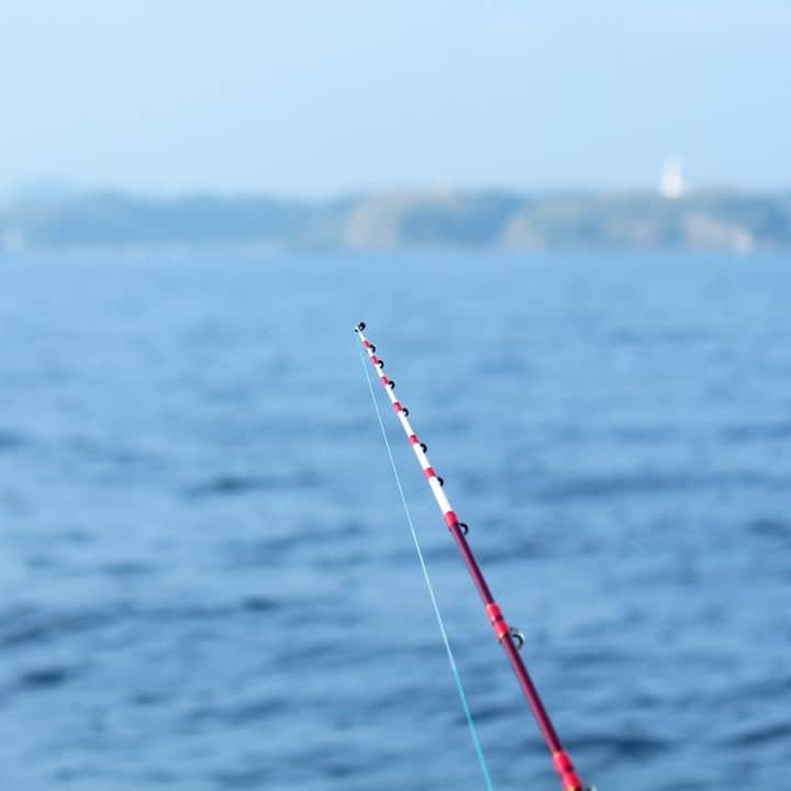 【公式】オーシャンリゾートホテル マホロバ・マインズ三浦さんのインスタグラム写真 - (【公式】オーシャンリゾートホテル マホロバ・マインズ三浦Instagram)「ゆらゆら揺れる水面の下の世界を想像する時間。釣りってロマンだなあと思うんです。  #海 #釣り #釣り好き #旅行気分 #釣りガール  #釣り女子 #リール #おうちで旅体験 #釣り竿 #釣り好きな人と繋がりたい #船 #釣り船 #rakutentravel #松輪 #igで繋がる海 #フィッシング #船釣り #魚釣り #東京湾 #三浦半島いいところ🙌 #漁港 #三浦 #三浦市 #マホロバマインズ #maholovaminds #マホロバケーション #神奈川観光 #三浦半島 #マホロバ #マホロバマインズ三浦」5月27日 12時00分 - maholova_minds_miura