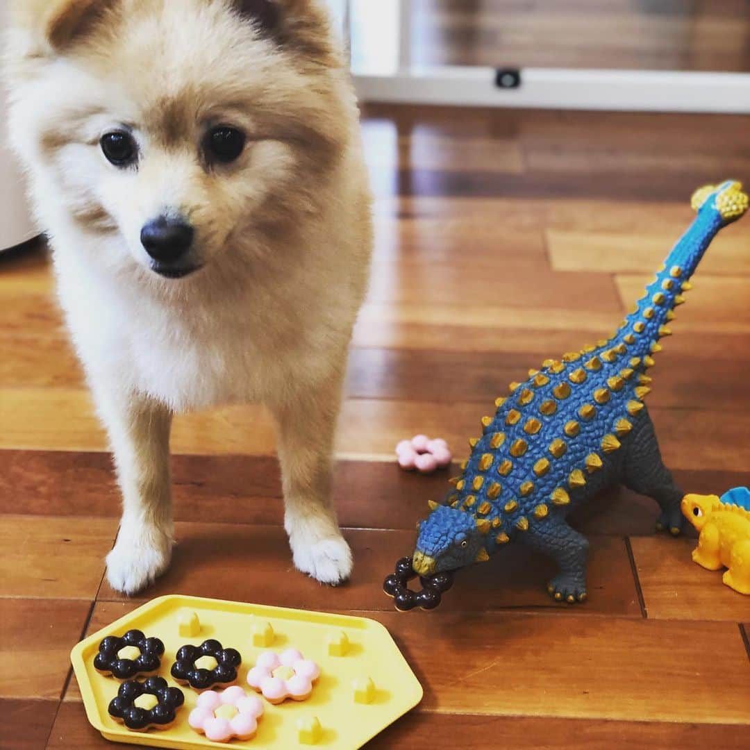 水野良樹さんのインスタグラム写真 - (水野良樹Instagram)「仲直りしたのか、ドーナツ食ってる。」5月27日 12時04分 - mizunoyoshiki_teke