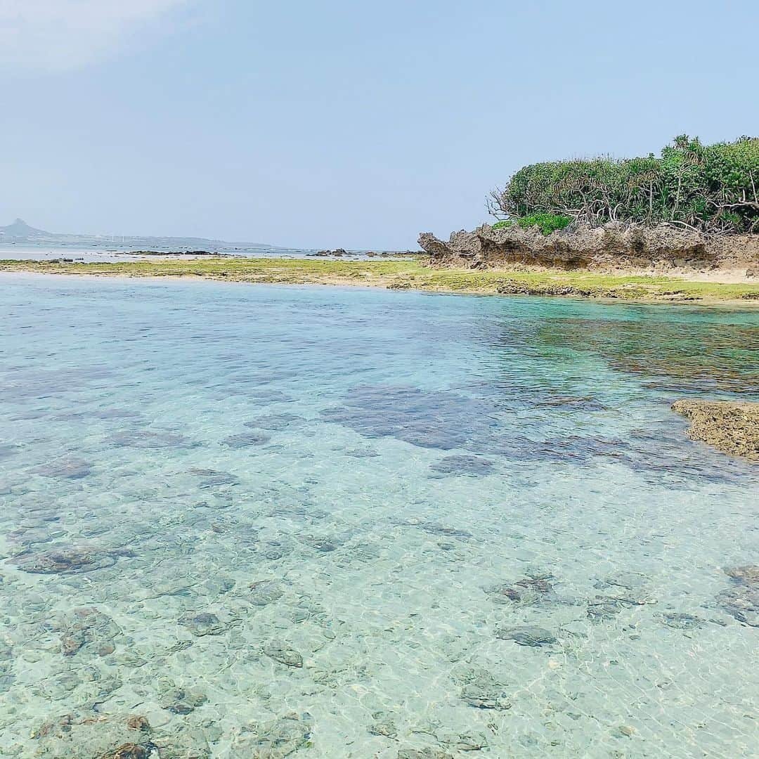 フジテレビ「空旅をあなたへ」さんのインスタグラム写真 - (フジテレビ「空旅をあなたへ」Instagram)「今週木曜22:54～の「空旅をあなたへ」は、 アーティスト 平原綾香さんの沖縄空旅です✈️✨ 「旅」と「音楽」をテーマに 番組では素敵な旅を紹介します！ いよいよ沖縄最後の旅です😭  今回は、これまでの旅を振り返ります。 平原さんの沖縄旅を一緒に振り返りましょう✨  歌の場所は残波岬です✨ 高さ30mの断崖絶壁が約2kmにわたって続くそうで、 波の様子は沖縄の海では珍しく勇壮な様子です。  晴れた日には慶良間諸島も眺望でき、沖縄本島で夕日が最後に沈む場所として知られる絶景スポットです😊  ぜひご覧ください！  #フジテレビ  #空旅  #空旅をあなたへ ‪#soratabi‬ ‪#平原綾香 さん‬ #沖縄 #読谷村  #残波岬」5月27日 12時27分 - soratabi_fuji