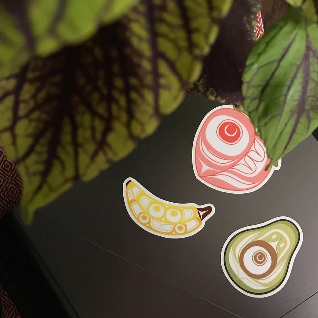 ミラのインスタグラム：「Cool native stickers for my laptop」