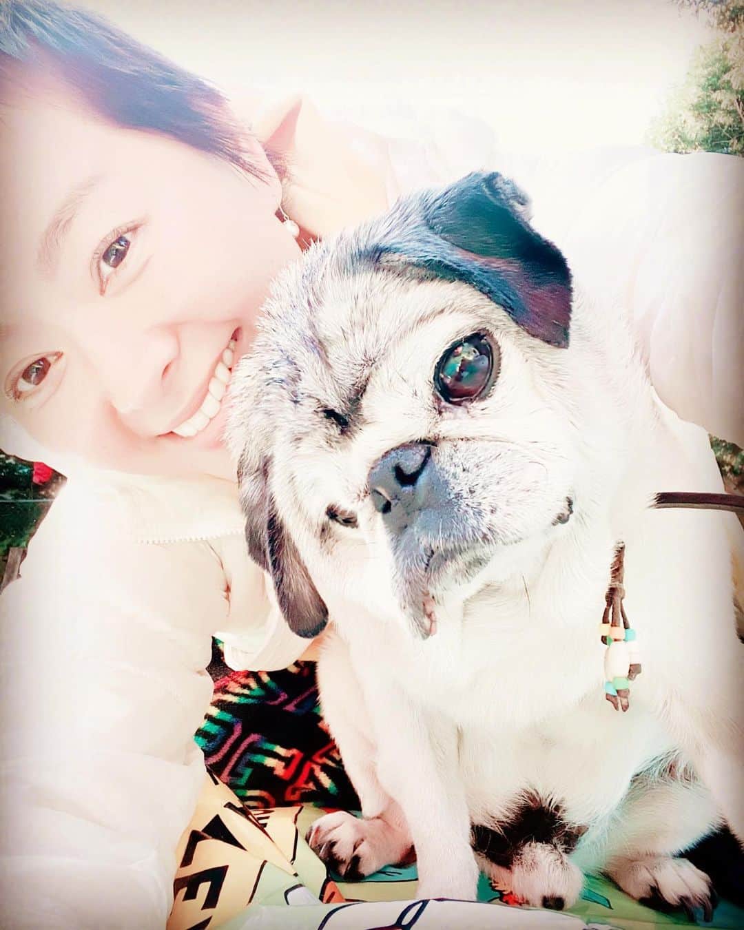 吉野紗香のインスタグラム：「We visited a friends home🥰💖🍀🏡✨ What a wonderful time😌💖🍀✨ 私たちはお友達を訪ねに行きました☺️💖🍀🏡✨なんて素晴らしい時間をありがとうございます😌💖🍀✨ #friends #wonderful #time #britishcolumbiacanada #muffin #pug #naptime #backyard #友達　#素晴らしい　#時間　#マフィン　#お昼寝　#お庭」