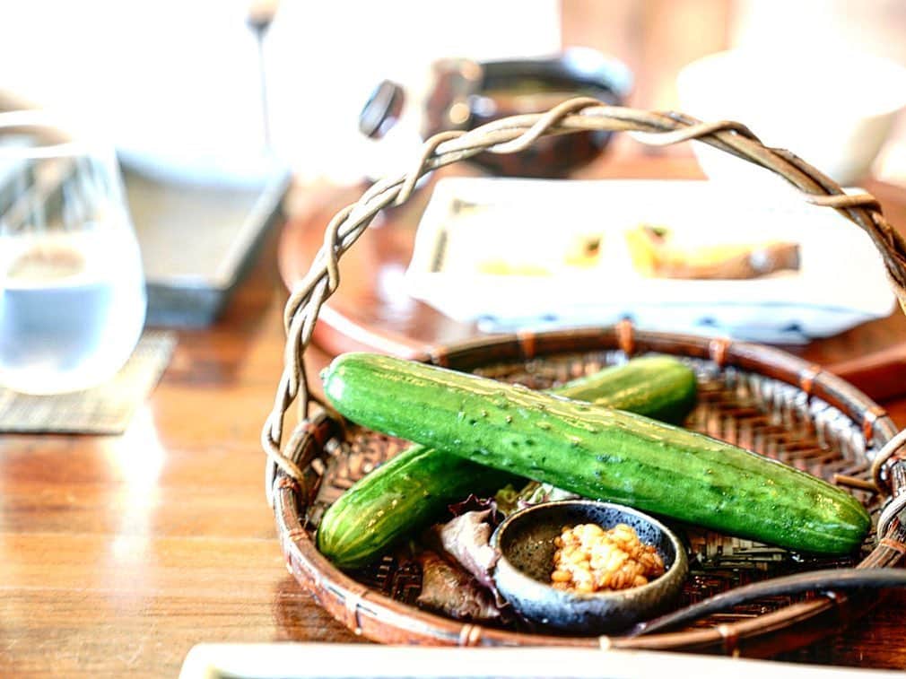 能美黎子さんのインスタグラム写真 - (能美黎子Instagram)「・ 「坐忘林」 @zaborin.ryokan  朝御飯編。 ・ こんな立派な胡瓜が 出てきた朝御飯は初めてでした。 ・ 新鮮な北海道の大ぶりな胡瓜に 丸ごとかぶりつく。 新鮮で美味しいお野菜とご飯。 日本人で良かった。 ・ ①枚めに写っているお箸はお持ち帰り可能🥢 ・ 旅館で食べるご飯って大好き。 ・ #思い出グラム #思い出pic #過去pic #北海道旅行 #北海道 #ニセコ #坐忘林 #もう一度行きたい #日本グルメ #絶景旅 #最高の思い出 #温泉旅行 #温泉ソムリエ #朝御飯#旅飯 #絶景温泉 #また行きたい #露天風呂付客室 #タビジョ#旅行記 #北海道の恵み #zaborin #美黎旅#地元の食材 #北海道グルメ #北海道好きな人と繋がりたい #旅グルメ #北懐石#自然派#日本料理」5月27日 12時42分 - reikonohmi