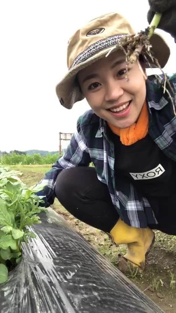 hoshinofumikaのインスタグラム：「夏の選抜⚾️です！」