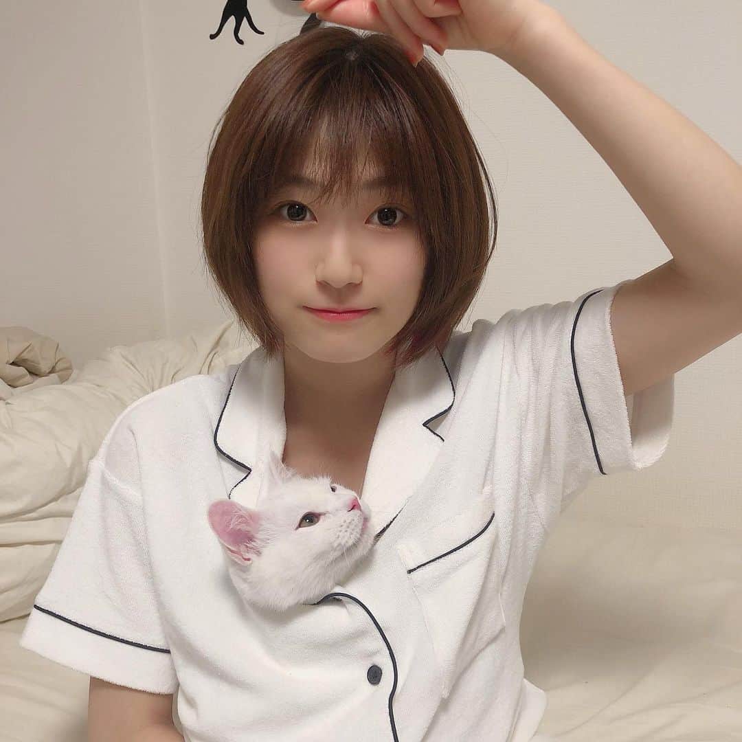 朝日花奈のインスタグラム：「#gu × #sabon のコラボパジャマ🧼💕 発売日のお昼に買いに行ったけど、 ミントグリーンは売り切れてました…。 ミント成分が練り込まれていて、接触冷感機能/保湿機能があるみたい🐱  着心地もよくて、かわいい…♡ #guパジャマ #ルームウェア #部屋着 #夏 #ショート #猫 #ねこのいる生活」