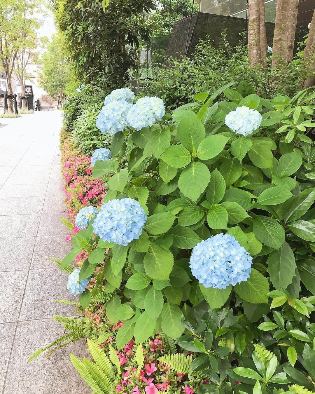 芦田桂子のインスタグラム