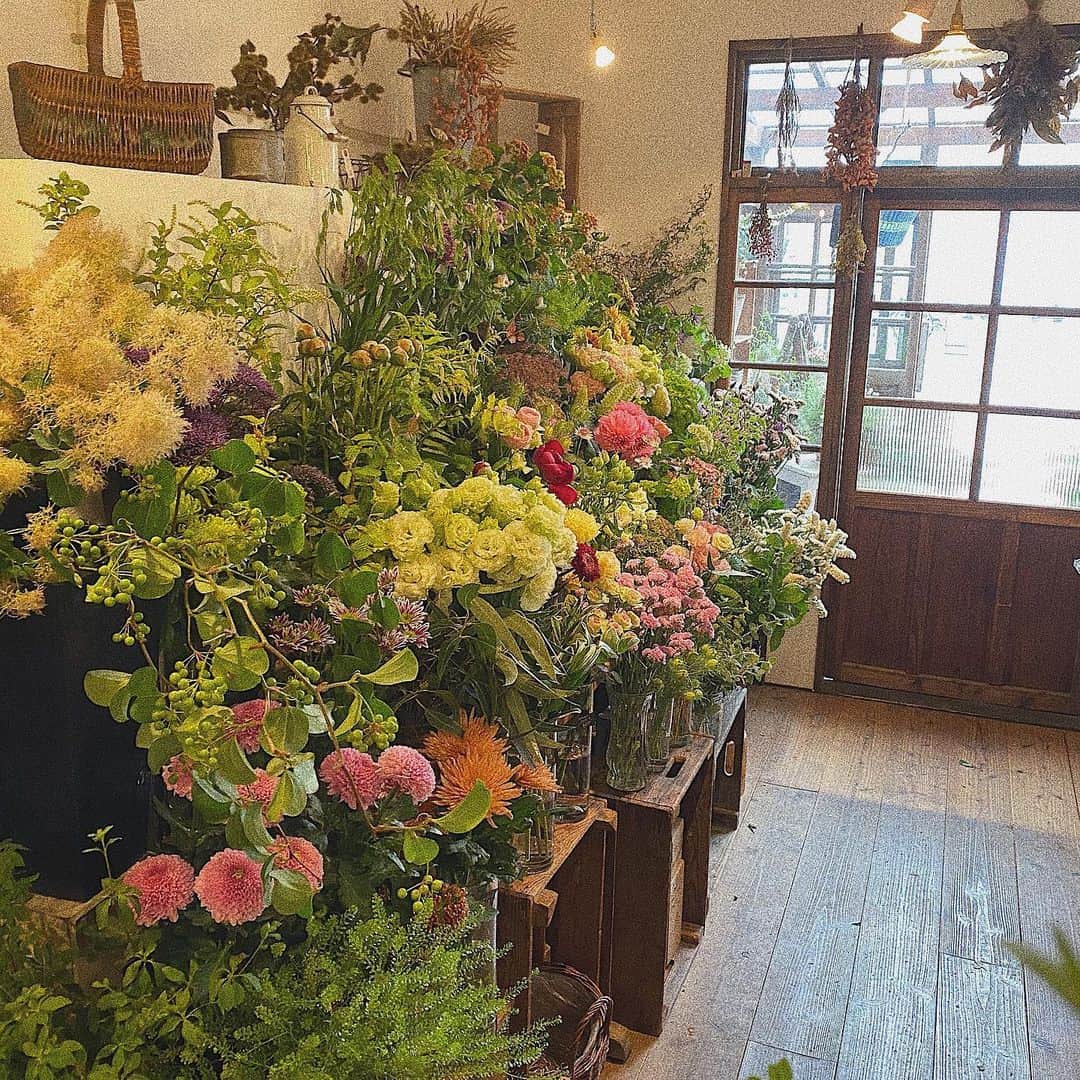 小澤楓のグルメインスタ