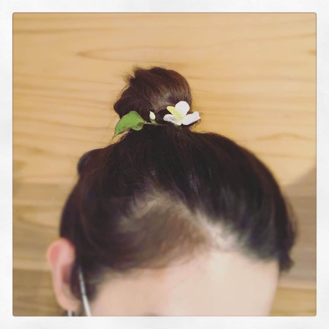 星野真里さんのインスタグラム写真 - (星野真里Instagram)「ドクなんて名前で呼んでおきながら 白が似合うよなんて言うのね  #ドクダミ #短歌のつもりでございます #お好きなように解釈してください #お散歩帰りの髪飾り」5月27日 14時09分 - mari_hoshino.7.27