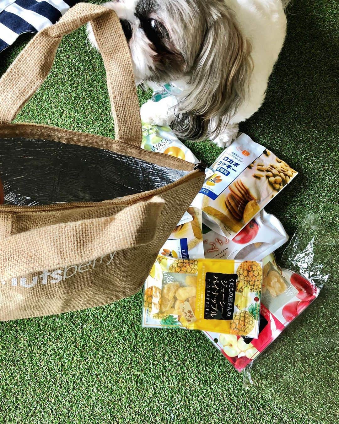 平野ジェニファーさんのインスタグラム写真 - (平野ジェニファーInstagram)「Had the best surprise box come today. Just made my day and when I saw the cutest cooler bag it made me even more ready for summer. My snack game is going to be on point!!! Thank you so much nutsberry for always looking out for me. I couldn’t ask for a better team to support me!!! •For everyone out there who wants to purchase the low carbs nuts they sell them at costco, kaldi, and many other supermarkets :)• • • • #healthy #hungry #amazing #fit #summer #professionalgolfer #jlpga #golflover #hardwork #dedication #support #instadaily #instaswesome #foodporn #instagood #instasnacks #instagood #instamood #japan #workhardplayhard #nevergiveup #ilovenutsberry」5月27日 14時20分 - hiranojennifer