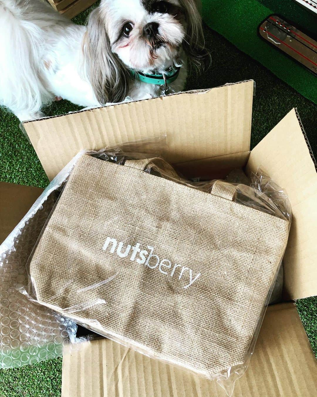 平野ジェニファーさんのインスタグラム写真 - (平野ジェニファーInstagram)「Had the best surprise box come today. Just made my day and when I saw the cutest cooler bag it made me even more ready for summer. My snack game is going to be on point!!! Thank you so much nutsberry for always looking out for me. I couldn’t ask for a better team to support me!!! •For everyone out there who wants to purchase the low carbs nuts they sell them at costco, kaldi, and many other supermarkets :)• • • • #healthy #hungry #amazing #fit #summer #professionalgolfer #jlpga #golflover #hardwork #dedication #support #instadaily #instaswesome #foodporn #instagood #instasnacks #instagood #instamood #japan #workhardplayhard #nevergiveup #ilovenutsberry」5月27日 14時20分 - hiranojennifer