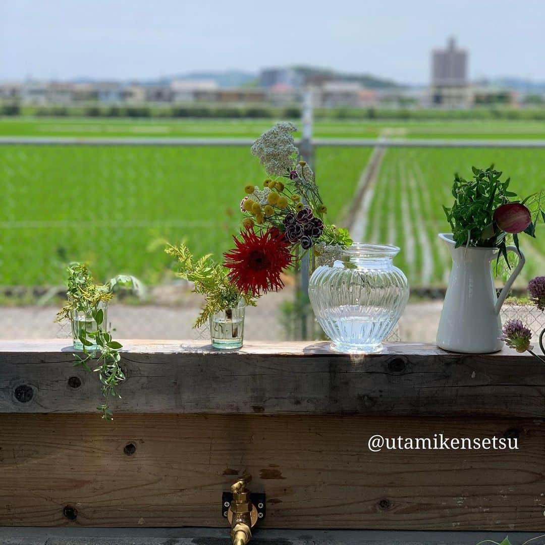 宇田見建設さんのインスタグラム写真 - (宇田見建設Instagram)「お花の水かえ🌸 ・ 今回のMODEL HOUSE『U51』には、お庭にシンクがありお花の水かえなどにとても便利です♪ ・ 今の季節、田んぼの稲の緑が気持ち良いです。 ・ 皆さまのお家にもお庭シンク、是非ご提案させていただきたい♪ ・ 家族の趣味を楽しむ家『U51』 ・ ガーデニングやお庭でのバーベキューも楽しめます。 #宇田見建設 #宇田見建設オリジナル #新築一戸建て #モデルハウス #庭 #ガーデニング #花のある暮らし #花 #flower」5月27日 14時29分 - utamikensetsu