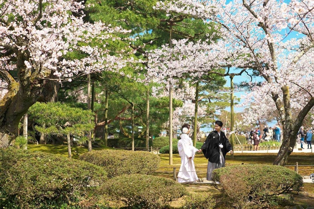 アート工房のグルメインスタ