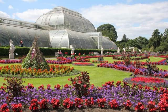 Travel.jp / トラベルjpさんのインスタグラム写真 - (Travel.jp / トラベルjpInstagram)「✈【イギリスへ妄想旅行✨】ロンドン「キューガーデン」歴史と伝統を誇る由緒ある植物園⁠ .⁠ キューガーデンは5万種類以上の植物の展示と研究を行う由緒ある王立植物園♪⁠ 珍しい熱帯植物や季節の花々を観察し、その色や香りを心ゆくまで楽しめます✨⁠ .⁠ いつか行きたい場所を今のうちに考えておきませんか？☺⁠ 安心して旅行に行ける日常に早く戻りますように。⁠ .⁠ 【写真/Lady Masala】⁠ .⁠ 詳しい情報は【LINEトラベルjp キューガーデン 歴史】で検索❤️⁠ .⁠ #行きたいところリスト #旅行 #旅行好き #旅行好きな人と繋がりたい #トラベラー #女子旅 #女子旅行 #国内旅行 #海外旅行 #インスタ映え #トラベル #トリップ #絶景 #カメラ女子 #カメラ男子 #ダレカニミセタイケシキ #LINEトラベルjp #妄想旅行 #おうちで旅体験 #イギリス #イギリス旅行 #イギリス観光 #キューガーデン」5月27日 15時00分 - travel.jp
