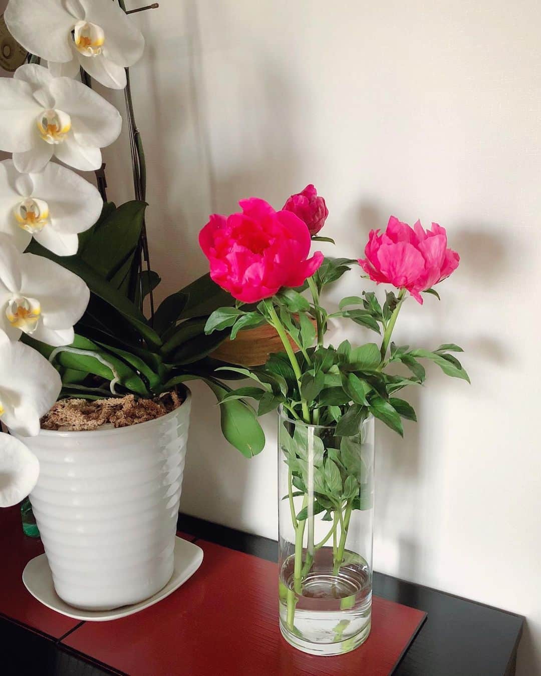 牧山純子さんのインスタグラム写真 - (牧山純子Instagram)「お花のある暮らしで心に癒しを💓散った花びらもまだ綺麗なので器に浮かべて楽しみます☺️ #花のある暮らし #flowers」5月27日 15時33分 - junko.violin1202