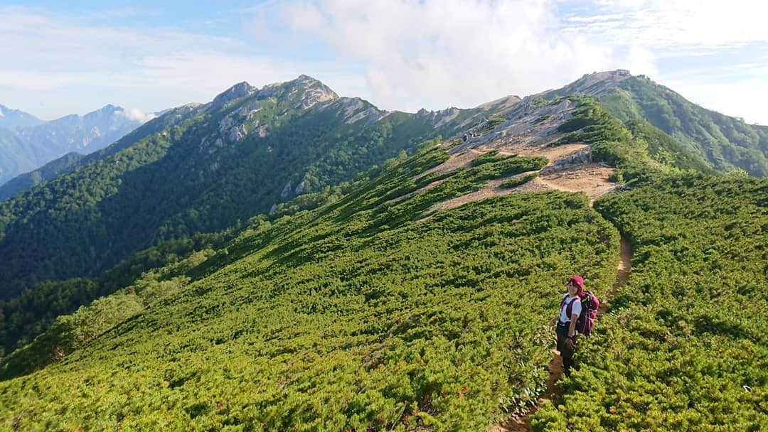 桜花さんのインスタグラム写真 - (桜花Instagram)「こんにちはでございマウンテン🗻🍀 午後もナイスにゴーゴー！🍀 水分補給ぜひこまめに🌷✨ #こんにちはでございマウンテン  #こんにちは  #水分補給 #こまめに  #山登り  #山歩き #山  #山の日アンバサダー  #mountain  #mountains #mountainlovers  #ナイスな午後を」5月27日 15時29分 - mountainohka