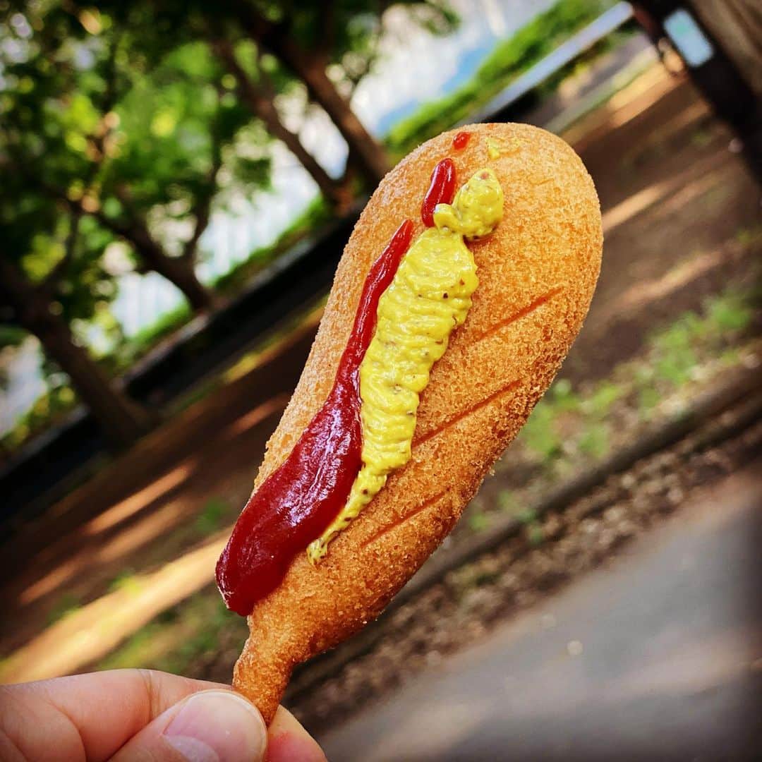 浅田信一さんのインスタグラム写真 - (浅田信一Instagram)「たまに食べたくなるやつ🌭」5月27日 16時47分 - asada_shinichi