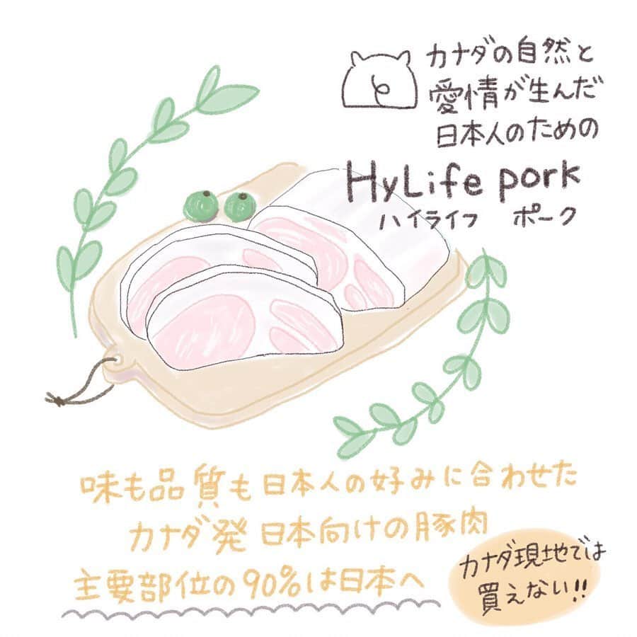 HyLifeporkTABLE代官山のインスタグラム：「ハイライフポークは、日本人の好みを徹底的にリサーチし、品種から飼料、育て方までこだわって作られている豚肉です。 カナダ現地では買いたくても買えない、まさに日本向けごちそうポークなのです！ ぜひご賞味ください！ こちらの素敵なイラストは @shizuyuno さんに描いていただきました♪ ----------------------------------------- 日本の皆さま向けに、安心安全でおいしい豚肉をお届けしている、ハイライフポーク公式アカウントです。ハイライフポークを使ったさまざまなレシピや皆さまの豚肉料理を紹介しております。ぜひ皆様も #ぶたごはん を付けて投稿してくださいね♪ ----------------------------------------- #hylifepork #hylifeporktable #ハイライフポーク #ハイライフポークテーブル #豚肉料理 #豚肉レシピ #豚肉 #ポーク #レシピ #お肉料理 #家庭料理 #おうちごはん #豊かな食卓 #今日のおいしい食卓 #料理好きな人と繋がりたい #フーディーテーブル #ごはん日記 #手作りごはん #クッキングラム #飯スタグラム #私のおいしい写真 #おいしい時間 #美味しいご飯 #美味しいもの大好き #カナダ #カナダ旅行 #カナダ産 #食べ物イラスト #イラスト」
