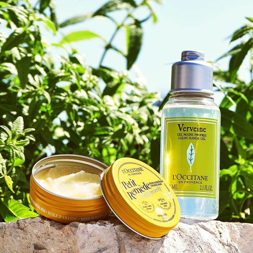 L'OCCITANE en Provenceのインスタグラム