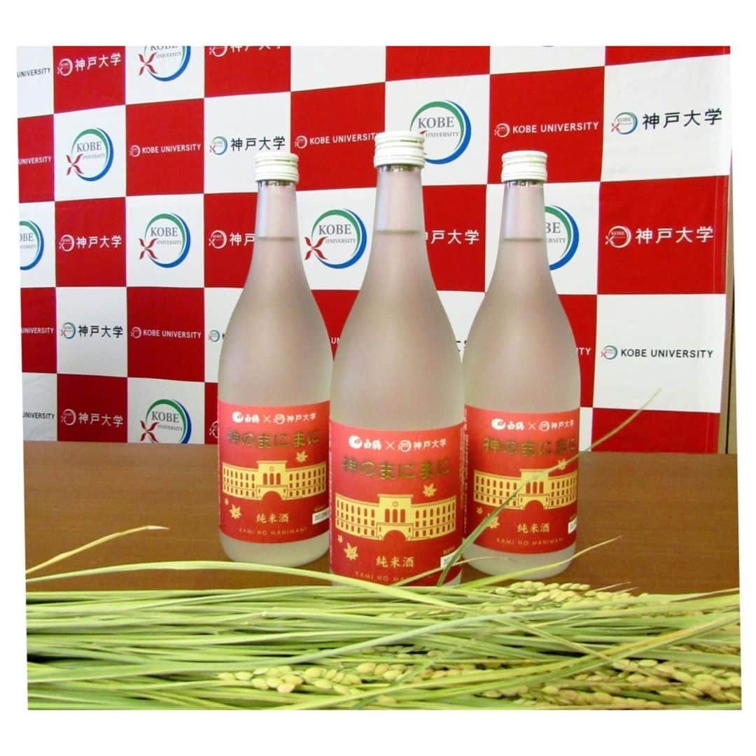 白鶴酒造株式会社のインスタグラム：「【神のまにまに】 本日は「百人一首の日」です。 1235年5月27日に嵯峨の小倉山荘で、後に百人一首と呼ばれる和歌を書写した障子が完成した日で、百句が始披露された日であると考えられています。  785年前の和歌が今でもかるた遊びとして残っているのはロマンがありますね♪  当社が神戸大学とコラボした純米酒「神のまにまに」も、由来は百人一首の中の1句です。 菅原道真公が「このたびは 幣も取りあへず 手向山　紅葉の錦 神のまにまに」で「紅葉」に神への思いを込めたように、この「日本酒」に情熱や思いを込めたいと、神戸大学の学生が考えてくれました。  昨年の商品は4月末で販売終了となりましたが、今秋販売予定の「神のまにまに」は既に造りを終え、秋までゆっくり熟成されています。 発売までもうしばらくお待ちくださいませ。  #日本酒 #白鶴 #hakutsuru #japan #神戸 #kobe #酒 #sake #japanesesake #japaneseculture #灘五郷 #GI灘五郷 #lovehyogo #lovekobe #insta_higashinada # 神戸大学 #百人一首 #菅原道真公 #神のまにまに #純米酒」