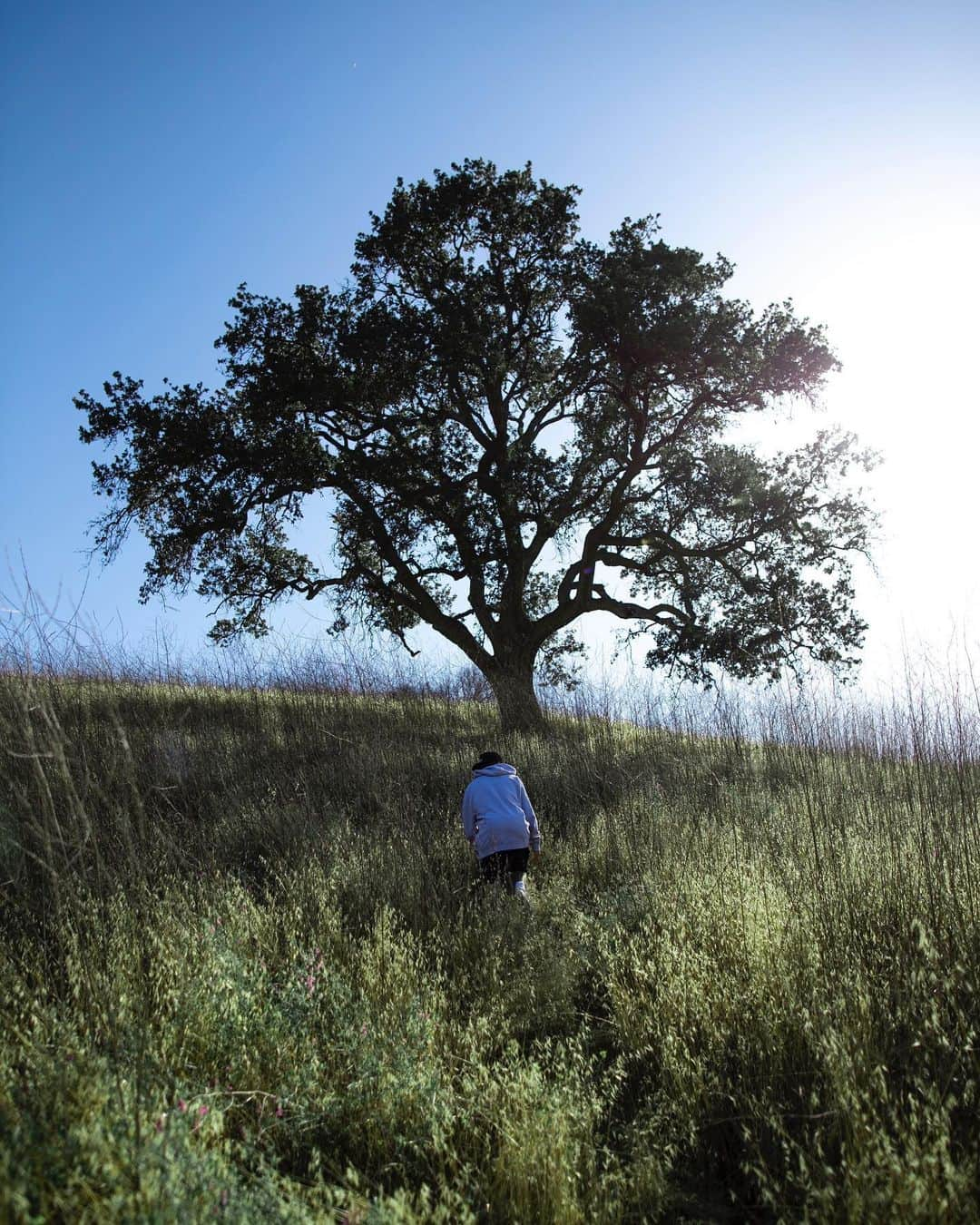 ジャスティン・ビーバーさんのインスタグラム写真 - (ジャスティン・ビーバーInstagram)「For every tree is known by his own fruit 📷 @rorykramer」5月28日 3時56分 - justinbieber