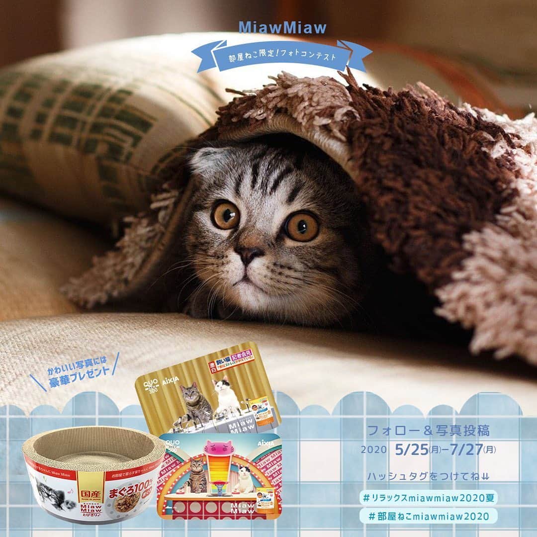 MiawMiawのインスタグラム：「＼部屋ねこ限定🐈🏠！フォトコンテスト開催中📷🏆！／⁣ ⁣ MiawMiawはただいまフォトコンテストを開催中♪⁣ 自慢の猫ちゃんを投稿して豪華賞品をGETしよう🎉⁣ ⁣ おうち時間が増えて、みなさんも猫ちゃんと一緒の時間が増えているはず✨⁣ おうちの中でかわいい猫ちゃんの写真を撮ったら、⁣ テーマに合う指定の応募ハッシュタグをつけて投稿してください🐈💓⁣ ⁣ ⁣ ＜参加方法＞⁣ ① @miawmiaw_series (ミャウミャウ公式アカウント)をフォロー⁣ ② 応募テーマに合ったお写真を撮影する（おうちの中での写真なら過去の写真でもOK)⁣ ③ 下記のフォトコン専用ハッシュタグの中から、一つ選んで投稿する（複数応募・複数枚投稿可）⁣ ※キャンペーン期間外(過去投稿)の投稿に応募ハッシュタグを付けた場合はキャンペーンの応募対象外とさせていただきます。ご了承ください。⁣ ⁣ ＜フォトコン専用ハッシュタグ＞⁣ ①～②のいずれかの応募テーマを選択し、指定のハッシュタグを付けて投稿してください♪⁣ ⁣ 【①猫ちゃんのリラックスしているフォト】⁣ #リラックスmiawmiaw2020夏⁣ ※「2020夏」を付けていただかないと今回の応募の対象になりませんのでご注意ください。⁣ ⁣ 【②お部屋の中にいる猫ちゃんのフォト】⁣ #部屋ねこmiawmiaw2020⁣ ⁣ フォトコンテスト期間中、指定のハッシュタグでご参加いただいている方を、当アカウントでご紹介させていただくこともございます😻📷♪⁣ ⁣ ＜募集期間＞⁣ 2020年5月25日(月)～2020年7月27日(月)23:59まで⁣ ⁣ ＜賞品＞⁣ 🏆大賞　各テーマ1名様　：投稿フォト入りオリジナル猫用爪とぎ＋MiawMiaw商品詰め合わせ⁣ 🏆金賞　各テーマ3名様　：オリジナルQUOカード( 合計800円分)＋MiawMiaw商品詰め合わせ⁣ 🏆銀賞　各テーマ5名様　：MiawMiaw商品詰め合わせ⁣ ⁣ ※賞品の画像はイメージです。変更になる場合がございます。⁣ ⁣ ＜当選者様へのご連絡＞⁣ 当選者発表は8⽉中旬を予定しております。⁣ 当選者の⽅には Instagram上のDMにてご連絡致します。⁣ ⁣ ＜ご注意＞⁣ ＊本キャンペーンにご参加いただくことにより、本募集要項に同意いただいたものとみなします（未成年の方については、親権者に同意いただいたものとみなします）。⁣ ＊選考時に、アカウントフォロー及び指定のハッシュタグ投稿を継続いただいていることが確認できない場合、選考の対象から外れることがあります。フォトコンテスト終了からおおむね1か月程度、参加条件に達する状態を継続いただくことをお勧めします。⁣ ＊アカウントを非公開設定にしている場合は選考対象外となります。⁣ ＊再選考は行いません。⁣ ＊当選者は、配送の都合で日本国内にお住まいの方に限らせていただきます。⁣ ＊企業アカウントからのご応募は選考対象外となります。⁣ ＊賞品の返品・交換はできませんのでご了承くださいませ。⁣ ＊賞品の転売は禁止させていただきます。⁣ ＊通信環境の問題でDMが不着となった場合、又はご当選通知のDMに記載の手続きを履行いただけない場合、ご当選の資格は無効となります。⁣ ＊賞品画像はイメージとなります。⁣ ＊本キャンペーン参加にあたって生じるインターネット接続料や通信料、当選連絡DMに記載の手続を履践するにあたって生じる諸費用は、ご本人様の負担となります。⁣ ＊本キャンペーンで投稿いただいた写真や動画は、当社公式Instagramアカウントにてご紹介させていただく場合がございます。なお、このご紹介は選考結果とは関係がありません。⁣ ⁣ たくさんのご応募お待ちしております😻！⁣ ⁣ #miawmiaw #ミャウミャウ⁣ #部屋ねこ #おうち時間を楽しむ #フォトコンテスト #コンテスト #プレゼント企画 #プレゼント #プレゼントキャンペーン #キャンペーン開催中 #キャンペーン #ねこのいる生活 #ねこばか #ネコ好き #猫 #ねこ #ネコ #にゃんこ #猫部 #猫のいる暮らし #キャットフード #猫好きさんと繋がりたい #猫好き #にゃんこ部 #にゃんすたぐらむ #ねこすたぐらむ #にゃー #stayhome」