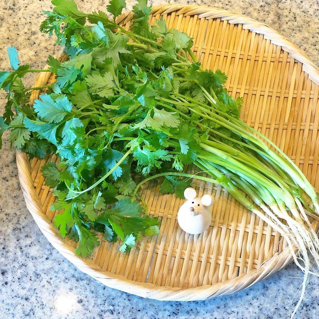 榊山敬代のインスタグラム：「🌿🍆🍎🥑🥕… ・ 今日は週に一度の 食材買い出しの巻  週末をさけて平日の お買い物は快適なり  最近のお店模様では  顔見知りのレジの方に お聞きしましたところ  営業前から並ぶ方も無くなり 買い込む方も減ったとのこと  一時は大変そうな状況でしたから いつもありがとうございますな時  画像は大好きなパクチーがお買い得 でしたのでやった〜と連れてかえる  野菜は水に浸しても大丈夫なものは全部 野菜洗剤で清めるのが日課で好きな時間  畑から東京までおつかれさまでした〜 といただく前にお礼が伝えられるとき  今は野菜室でおやすみ中…🍆🥕💤… ・ ・ 三枚目の画像は サバさんも撮影  灰干しさばもマイブームで いただく時は半分サイズで  シンプルにグリルで焼いて 大根おろしといただくのが 一番素材の味が楽しめる時  日本酒と共に…🍶🐟♪… ・ ・ やっぱりシンプルはうつくしい味 ・ ・ ところで買い出しの帰り道 とあるお店の張り紙にふと  足がとまりのぞいてみますと 27年営業されてきたスイーツ のお店が５月いっぱいで閉店 と悲しいお知らせなのでした  コロナさんの影響なのか 偶々閉店なのかあらゆる 状況が浮かびさみしい時  しばらくは外食ひかえて ステイホーム予定だけど  今まで通っていたお店を 思い浮かべると心配な時  とりあえずしばらくの日常は うかれずに慎重に行動したい ・ ・ #おうち時間 たのしもう週間 #おうち大好き もともと #stayhome 生活🏠… ・ ・ ・ ・ #パクチー #phakchi #パクチー大好き #野菜 #vegetable #なす #eggplan #にんじん #carrot #アボカド #avocado #りんご #Apple #魚 #fish #サバ #灰干しさば #生姜 #Ginger #おうちごはん #おうち時間 #栄養補給#artist #kitchen #cooking #日本画家 の #お料理こんなもん」