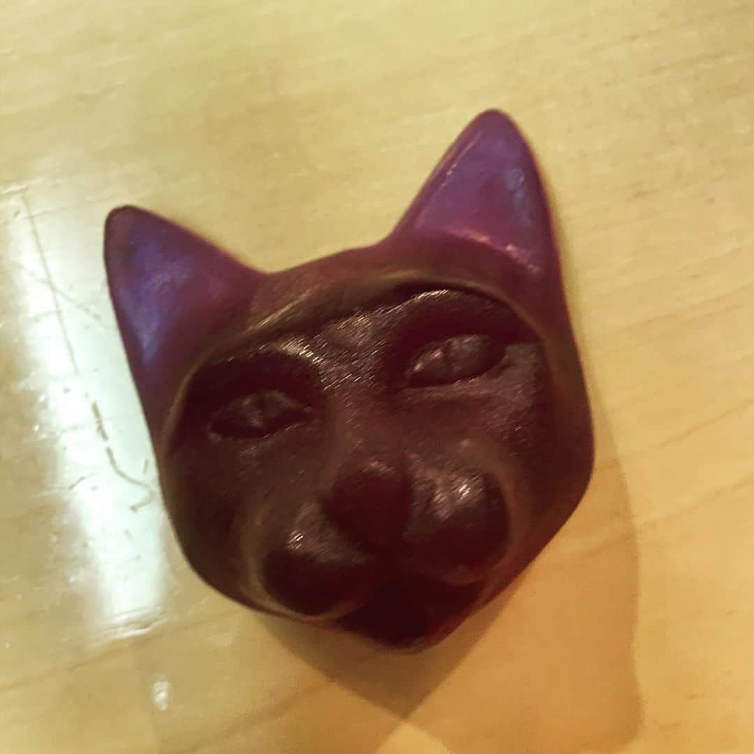 国生さゆりさんのインスタグラム写真 - (国生さゆりInstagram)「前投稿のにゃんぱん宣言からの繋がりでのインスタ投稿です✨✨🐈✨✨✨顔面ねこ石鹸頂きました✨🐈✨#猫のいる暮らし #顔面猫 #石鹸 #国生さゆり」5月27日 20時25分 - sayurikokusho