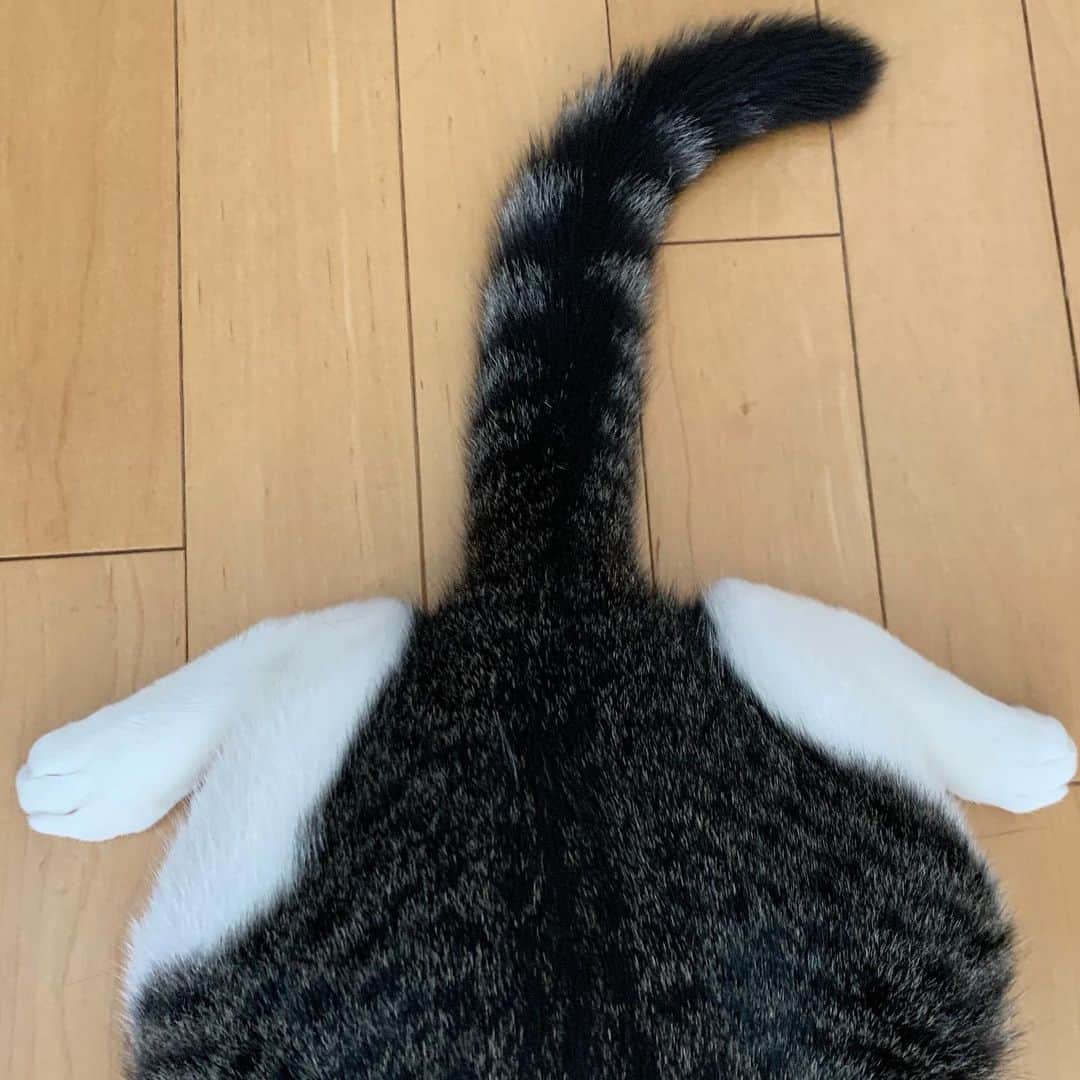 上田悠介のインスタグラム