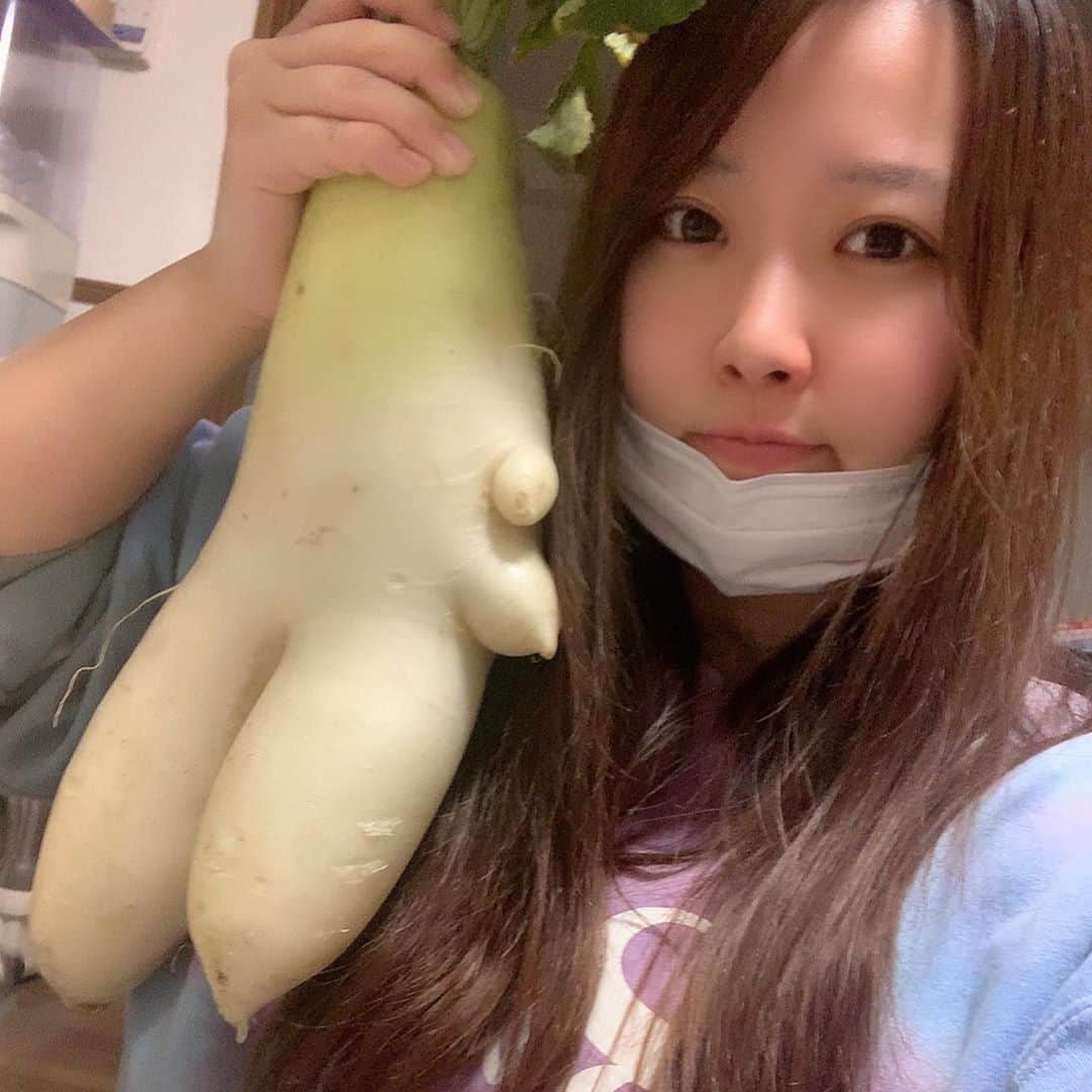 伊波まりやのインスタグラム：「. . . 人型大根！！ . . . looks like a human🤔 . . . #野菜 #大根 #畑」